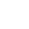 Icona LinkedIn